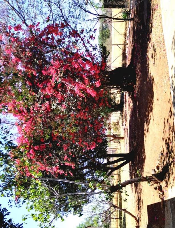 3 Bedroom Property for Sale in De Wildt North West
